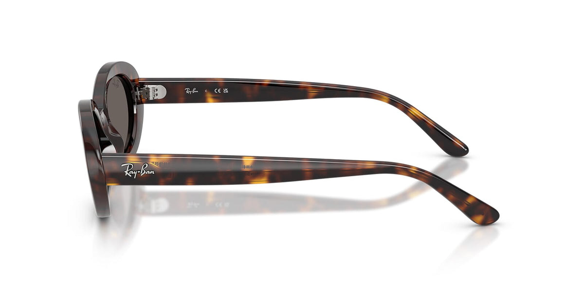Ray-Ban RB 2223 902/B1
