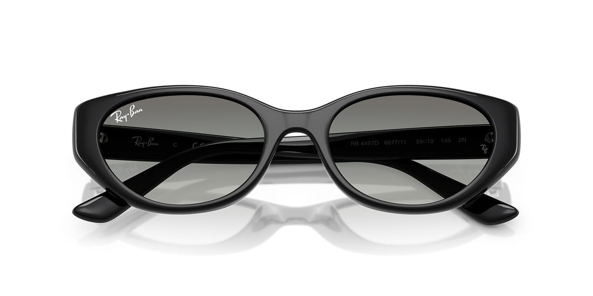 Ray-Ban RB 4457D 6677/11
