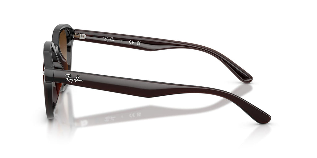 Ray-Ban RB 4458D 714/13